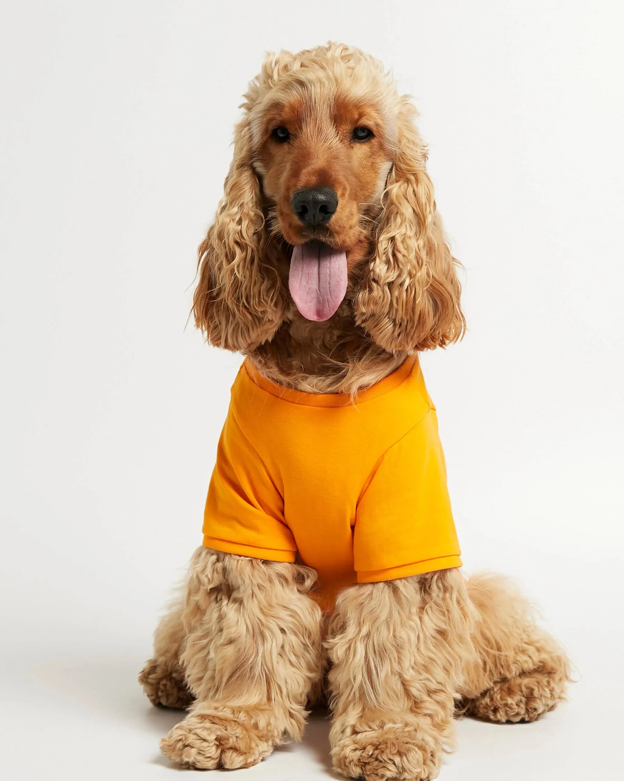 Imi Yellow Organic Cotton Dog T-Shirt